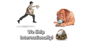 International ShippingBanner